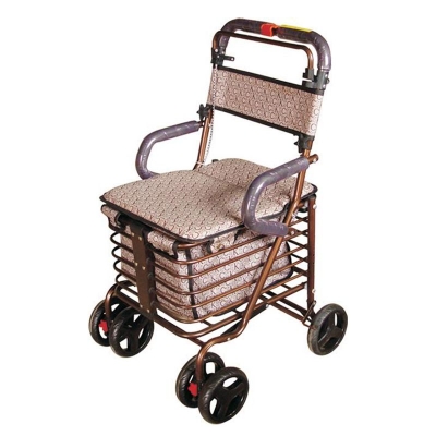 ZC-Z09 Xe đẩy mua sắm cao cấp
